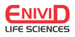 Enivid Life Sciences Enivid Life Sciences - A India Based Pharmaceutical company | Pharmaceutical company Ahmedabad Gujarat India